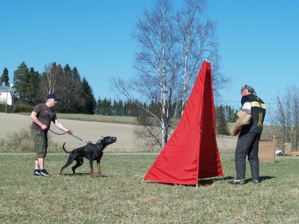 Training in Finland 5/2009