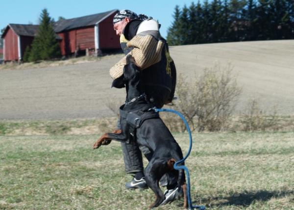 Training in Finland 5/2009