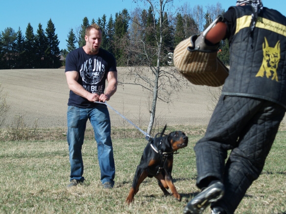 Training in Finland 5/2009