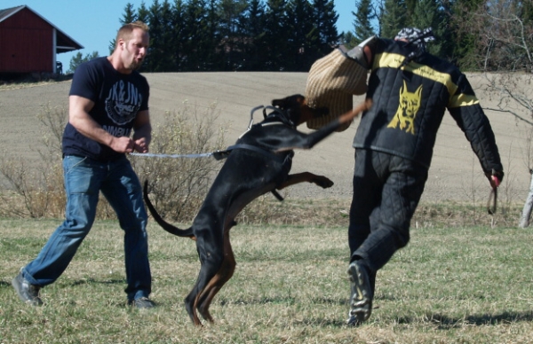 Training in Finland 5/2009