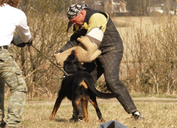 Training in Finland 5/2009