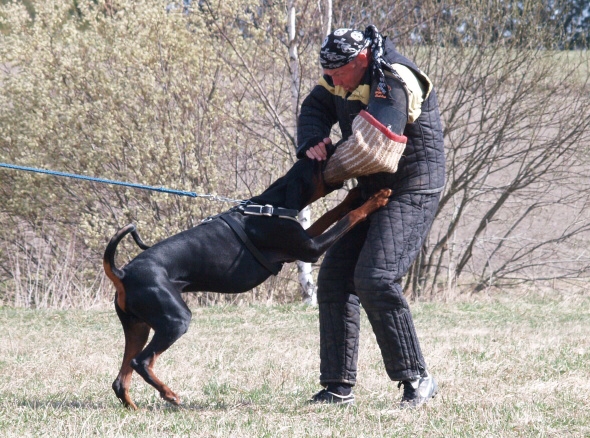 Training in Finland 5/2009