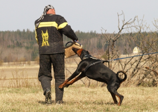 Training in Finland 5/2009