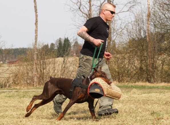 Training in Finland 5/2009