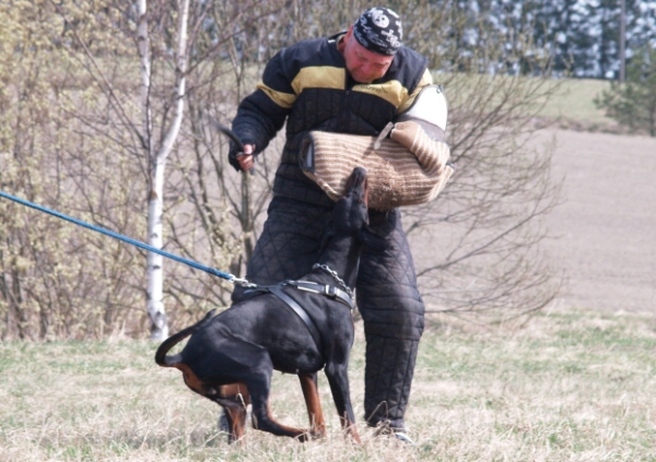 Training in Finland 5/2009