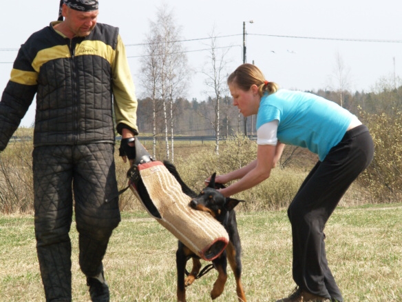 Training in Finland 5/2009