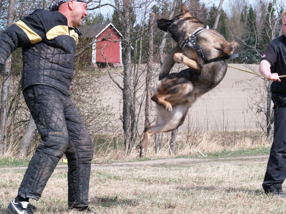 Training in Finland 5/2009