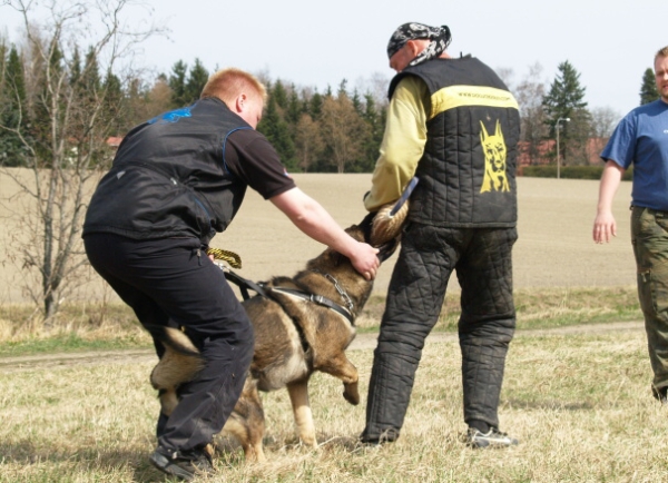 Training in Finland 5/2009