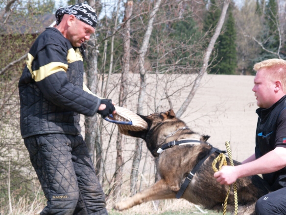 Training in Finland 5/2009