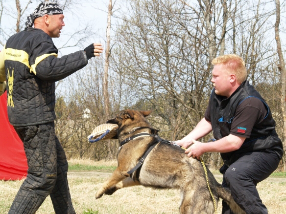 Training in Finland 5/2009