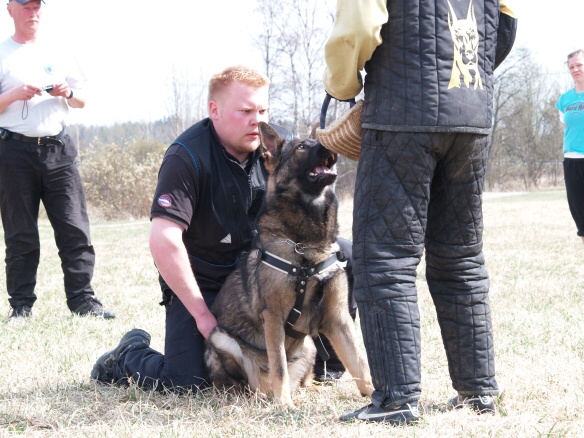 Training in Finland 5/2009