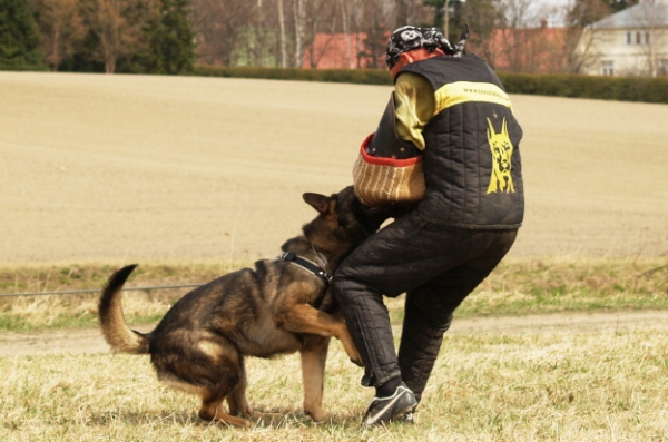 Training in Finland 5/2009