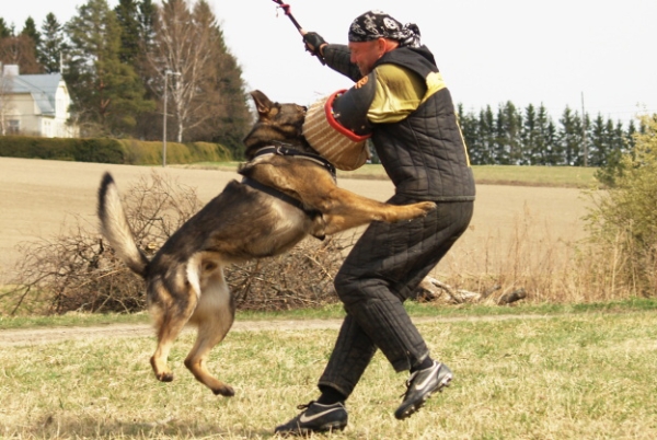 Training in Finland 5/2009