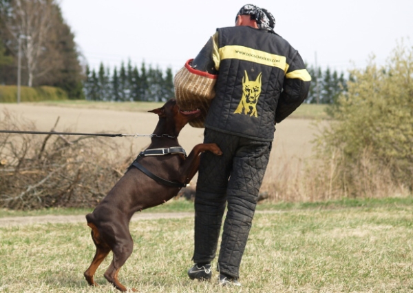 Training in Finland 5/2009