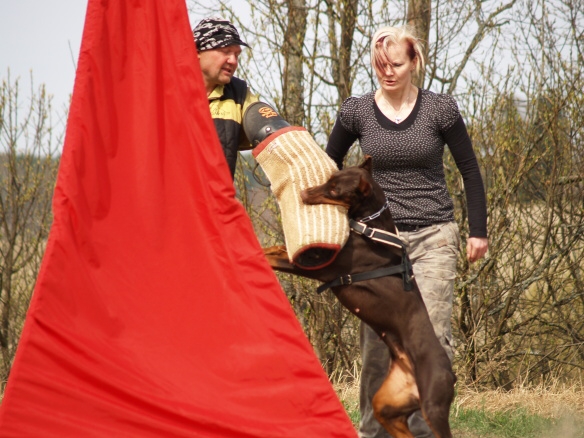 Training in Finland 5/2009