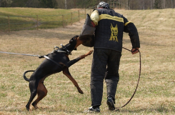 Training in Finland 5/2009