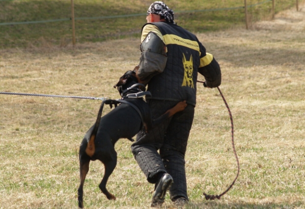 Training in Finland 5/2009