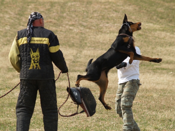 Training in Finland 5/2009