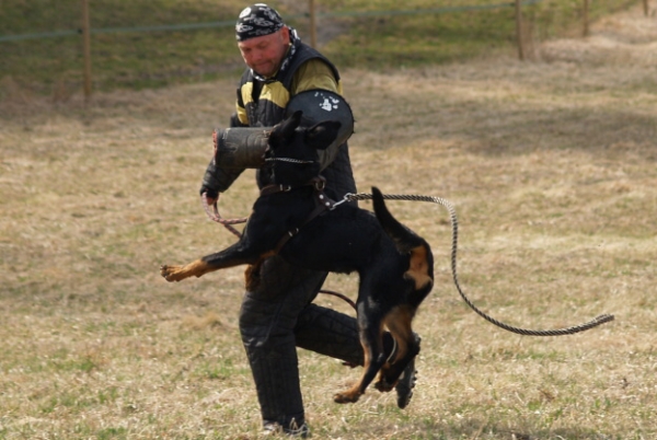 Training in Finland 5/2009