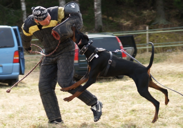 Training in Finland 5/2009