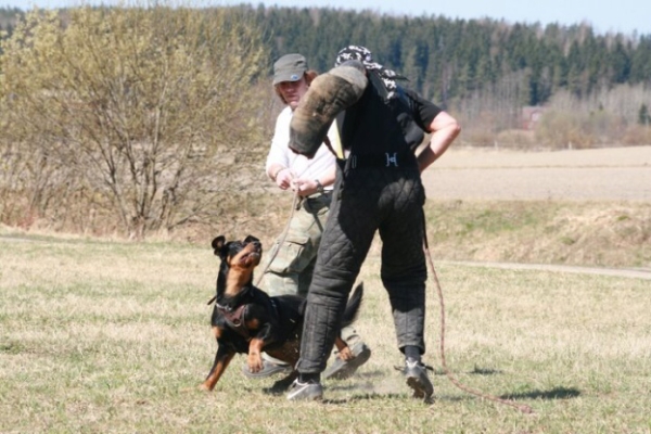 Training in Finland 5/2009