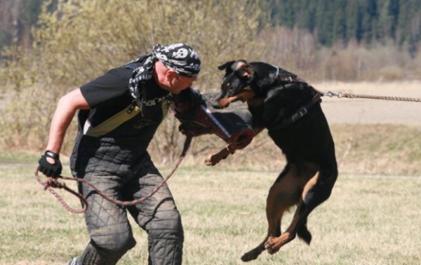 Training in Finland 5/2009