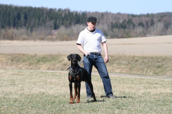 Training in Finland 5/2009