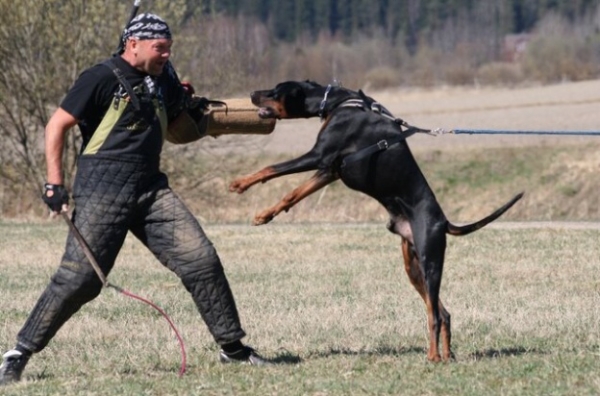 Training in Finland 5/2009