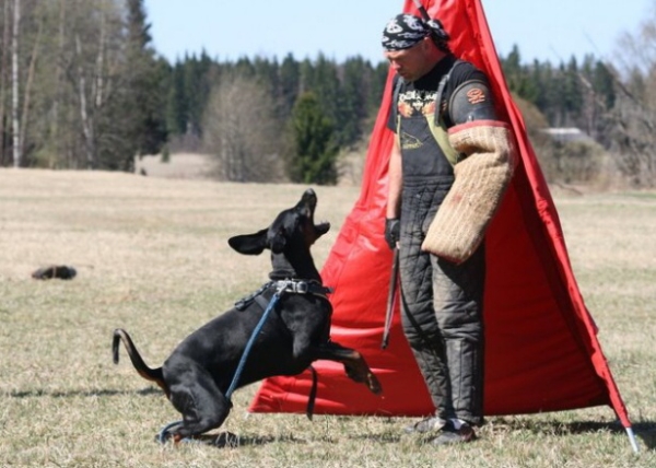 Training in Finland 5/2009