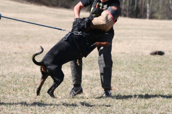 Training in Finland 5/2009