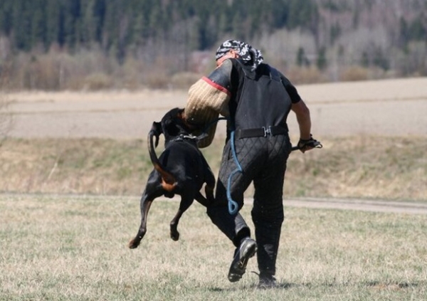 Training in Finland 5/2009