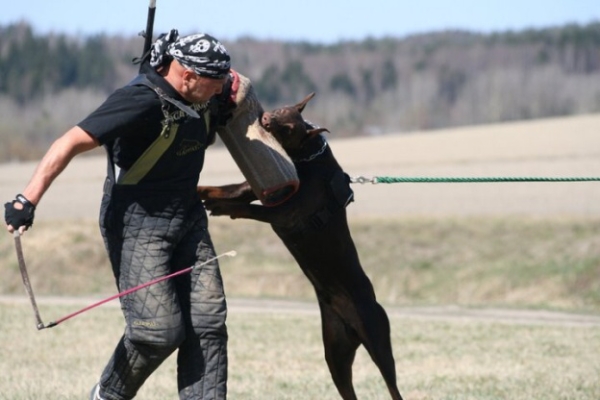 Training in Finland 5/2009