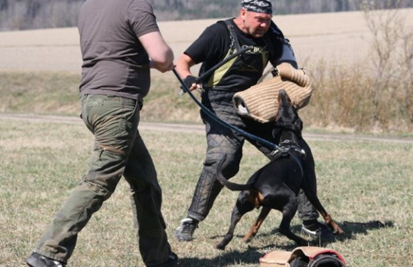 Training in Finland 5/2009