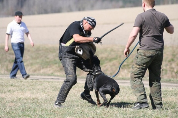 Training in Finland 5/2009