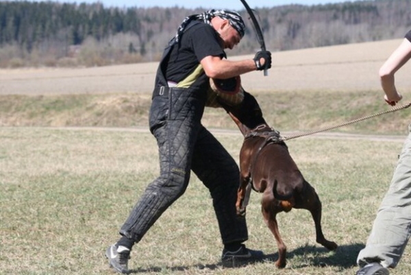 Training in Finland 5/2009