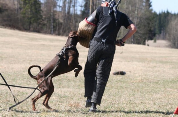 Training in Finland 5/2009