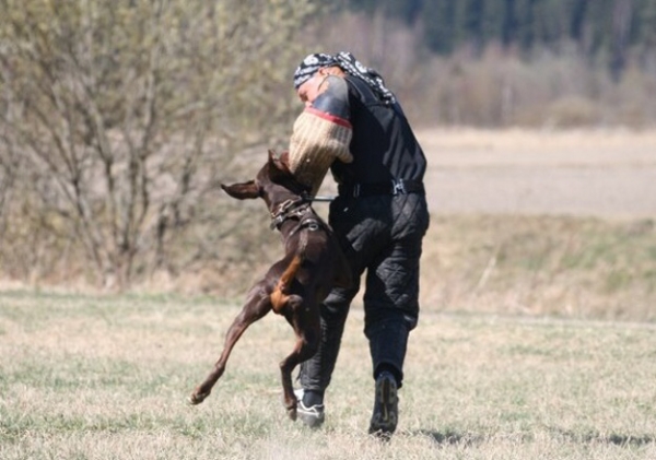 Training in Finland 5/2009