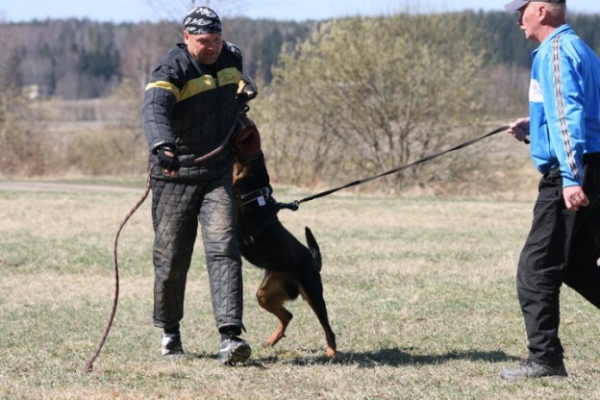 Training in Finland 5/2009