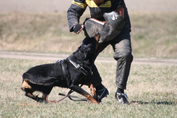 Training in Finland 5/2009