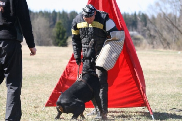 Training in Finland 5/2009