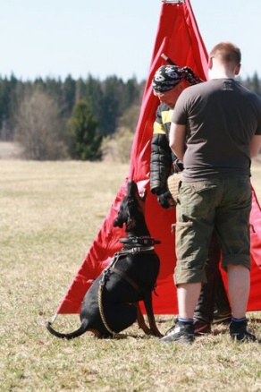 Training in Finland 5/2009