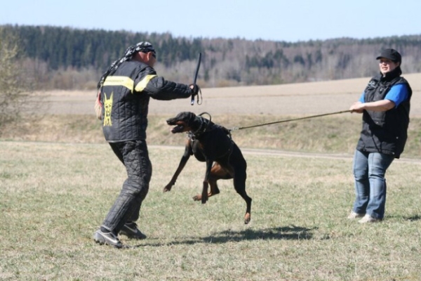 Training in Finland 5/2009