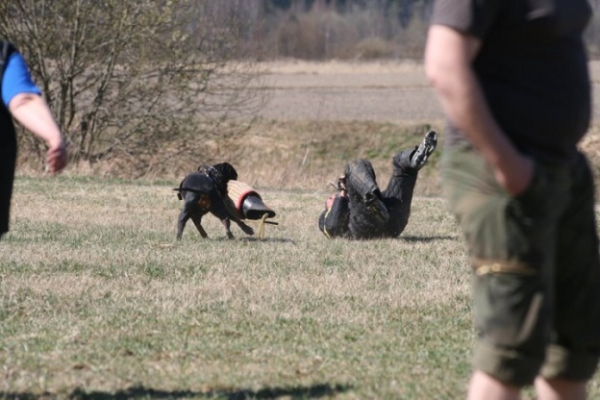 Training in Finland 5/2009