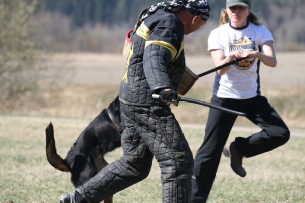 Training in Finland 5/2009