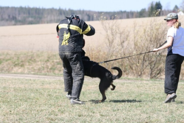 Training in Finland 5/2009