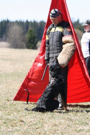 Training in Finland 5/2009