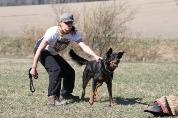 Training in Finland 5/2009