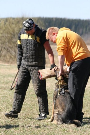 Training in Finland 5/2009