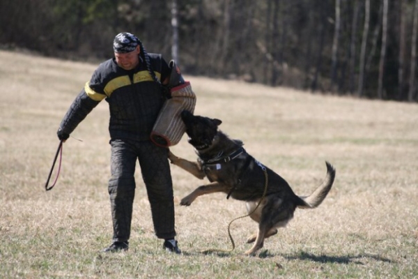 Training in Finland 5/2009