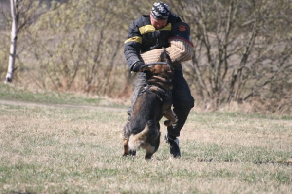 Training in Finland 5/2009